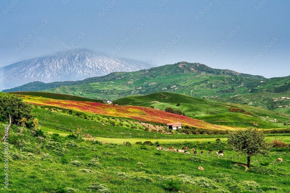 Obraz premium landscape view near Troina, Sicily in Italy