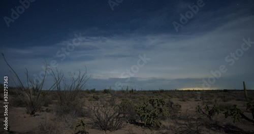 Desert Flora Storm Timelapse photo