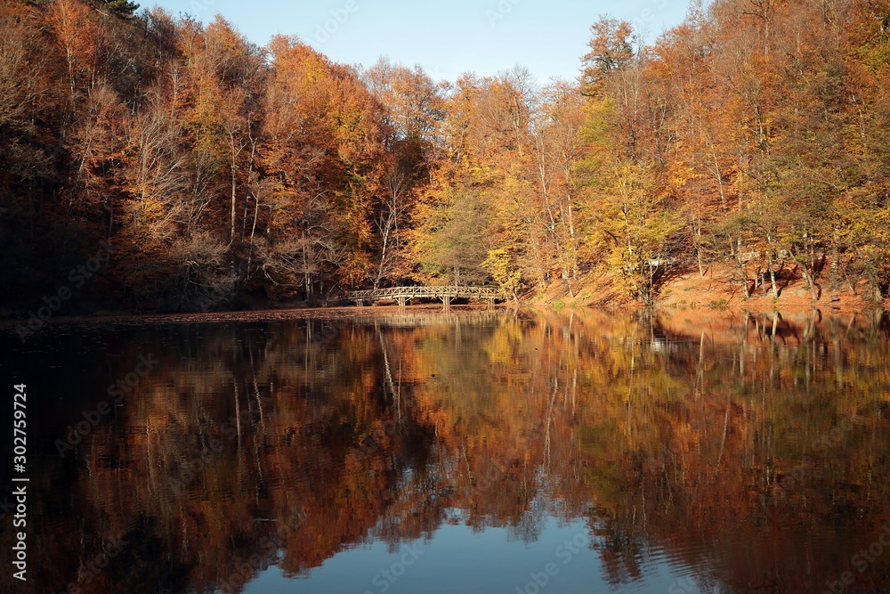 Autumn landscape in (seven lakes) Yedigoller Park Bolu, Turkey Autumn landscape in (seven lakes) Yedigoller Park Bolu, Turkey