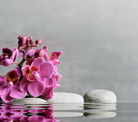 Plexiglas schilderij Spa Roze orchidee met grijze spa stenen  © Belight