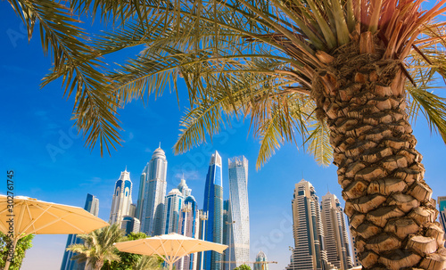Photography Panoramic view of palm trees and skyscrapers, vacation concept.