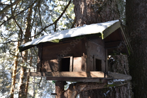 Birdhouse on a tree in winter forest © hanaga