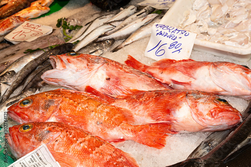 Venta de pescado en mercado. photo