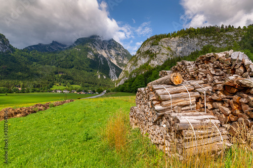 Wood stock piles and mountains, Unterburg, Styria, Tyrol, Austrian Alps, Austria photo