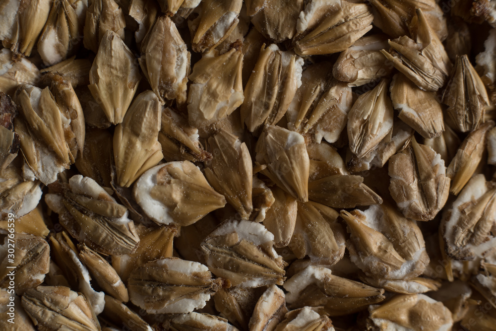 Chit barley flackes malt background. Сereals for the production of alcoholic beverages and animal feed. Flat lay Chit barley flackes malt background. Сereals for the production of alcoholic beverages and animal feed. Flat lay