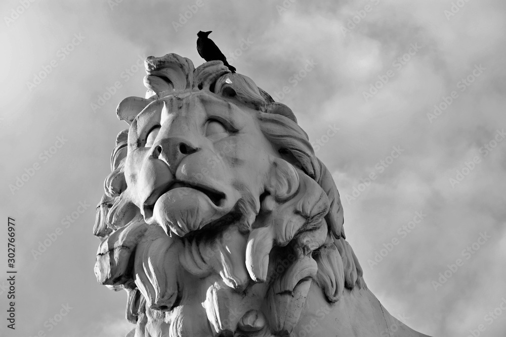 Fototapeta premium lion statue in london - black and white
