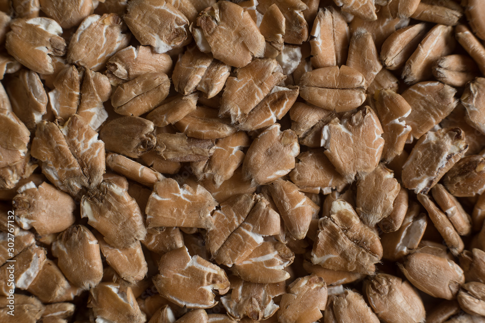 Chit wheat flakes grains background. Сereals for the production of alcoholic beverages and animal feed. Macro Chit wheat flakes grains background. Сereals for the production of alcoholic beverages and animal feed. Macro