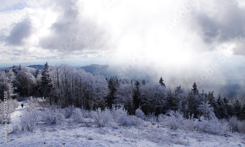 Beautiful winter scene with snow covered fir trees and illuminated clouds