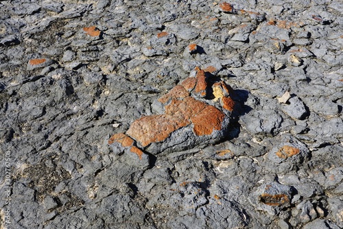 Photography View of microbial mats stromatolites at the Hamelin Pool in Shark Bay, World Her