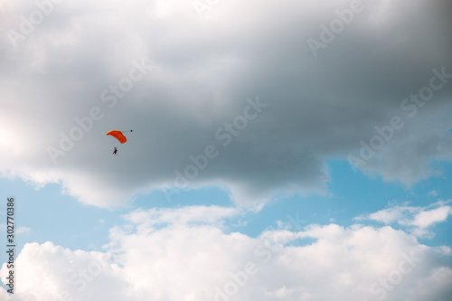 Wallpaper Mural Paratrooper parachuting in blue sky. Military service Torontodigital.ca