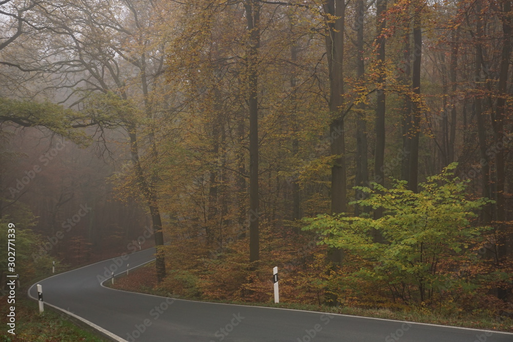 Fototapeta premium Strasse im Nebel