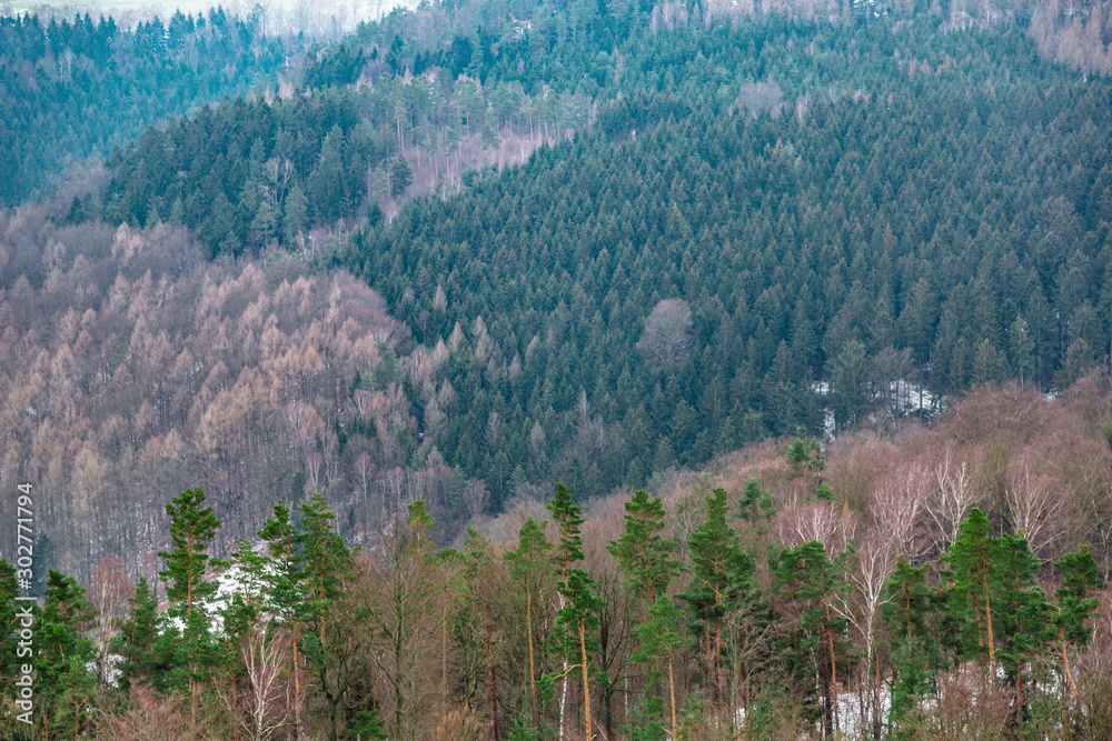 Fototapeta premium Winter forest on slopes of mountains. Aerial view