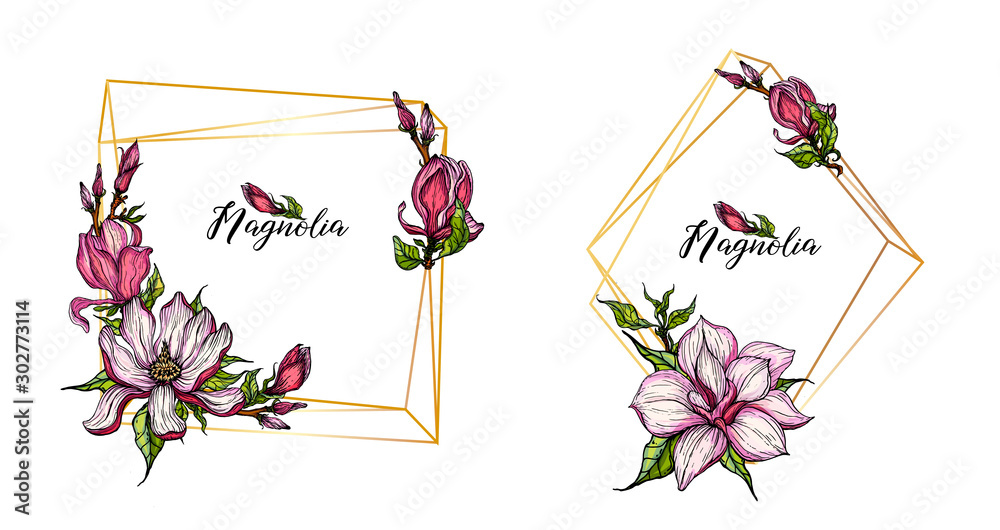 vector bright flower collection of Magnolia flowers and buds vector bright flower collection of Magnolia flowers and buds