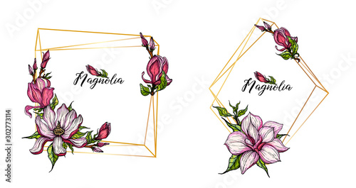 vector bright flower collection of Magnolia flowers and buds