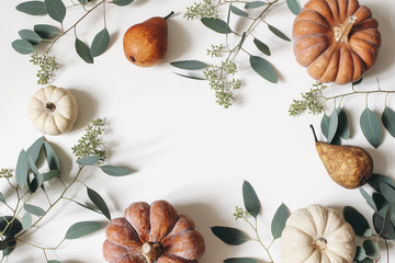 Autumn floral frame, web banner. Garland of berry eucalyptus leaves, branches, pear fruit, orange and white pumpkins isolated on white table background. Fall, Thanksgiving design. Flat lay, top view.