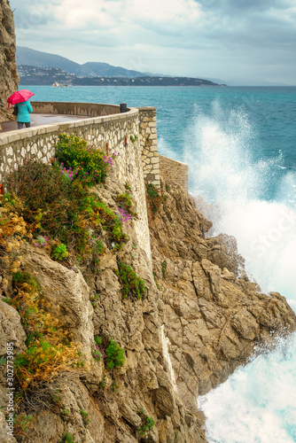 Monaco Coastline