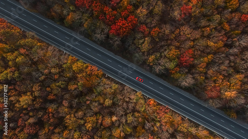 Red car on the road in beautiful autumn forest. Top view