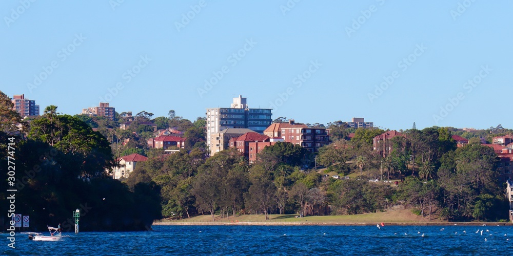 Naklejka premium Sydney harbour