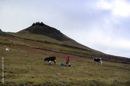 Shepherd - Quilotoa loop photo