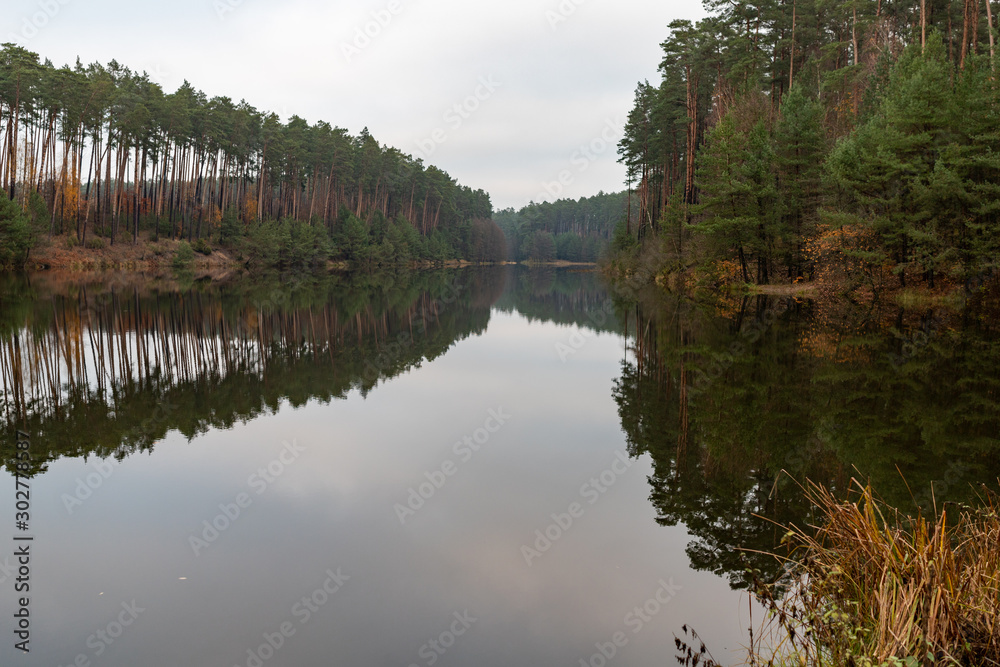 Hazy lake and coniferous forest. Calm water surface above the backwaters. Hazy lake and coniferous forest. Calm water surface above the backwaters.