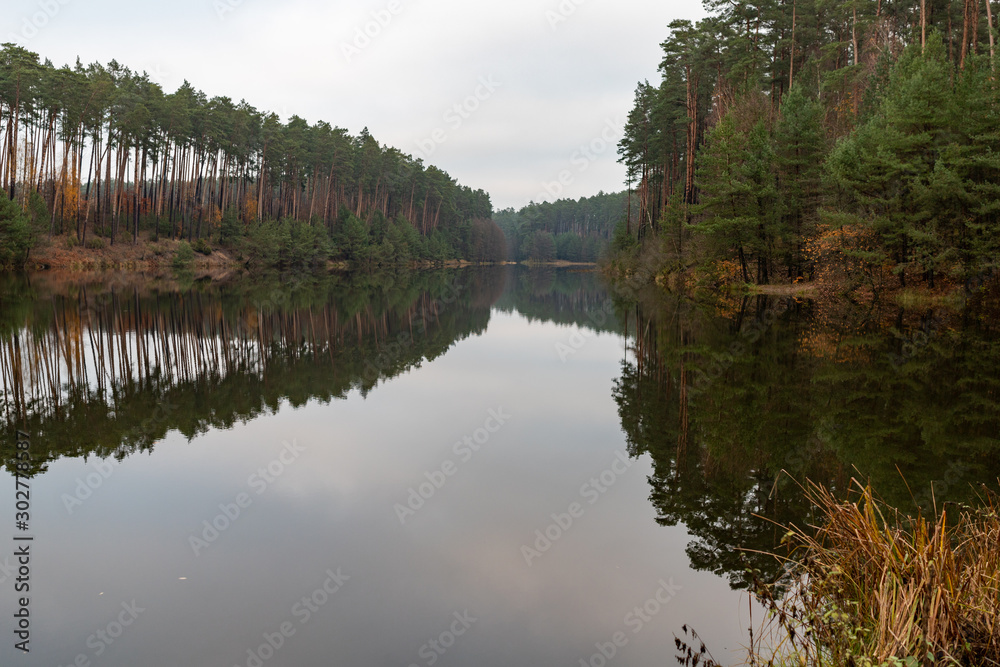 Hazy lake and coniferous forest. Calm water surface above the backwaters.