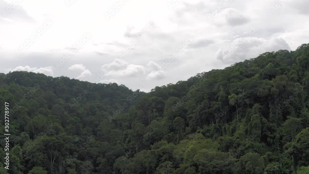 Jungle in Asia, Phuket Island in Thailand, 4K Drone shot Jungle in Asia, Phuket Island in Thailand, 4K Drone shot