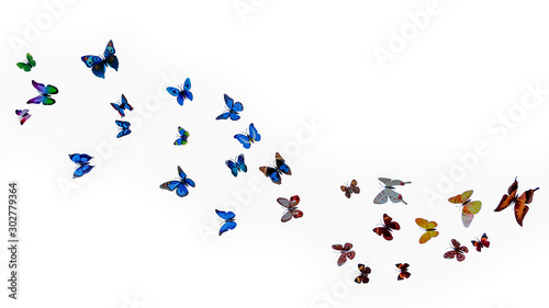 a pack of beautiful paper butterflies on a white background. illusion of butterfly flight, flight of a flock of butterflies isolated on a white background. photo