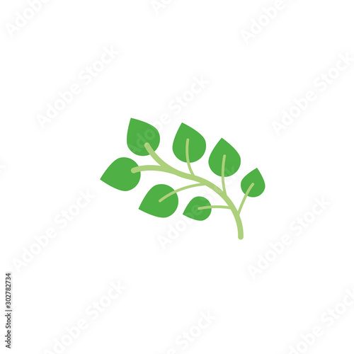 branch foliage nature leaf icon flat