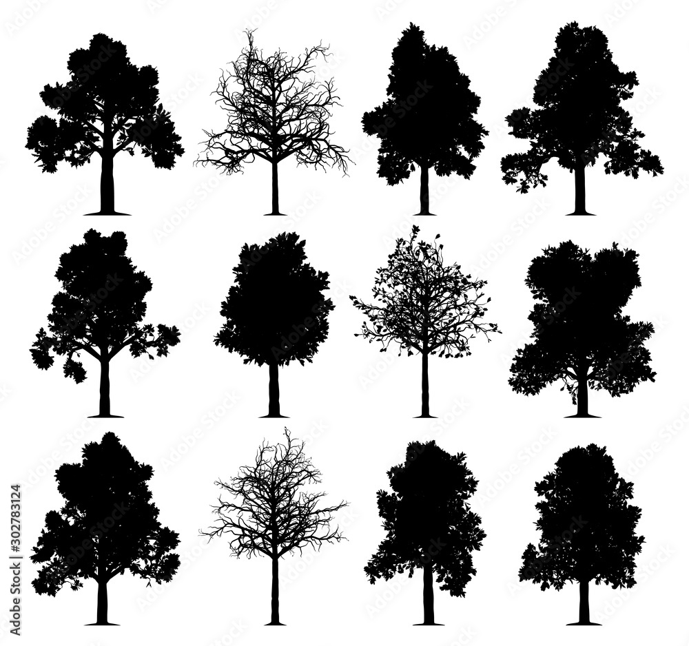 Fototapeta premium Oak trees silhouettes isolated on white background. Collection of 12 oak trees.