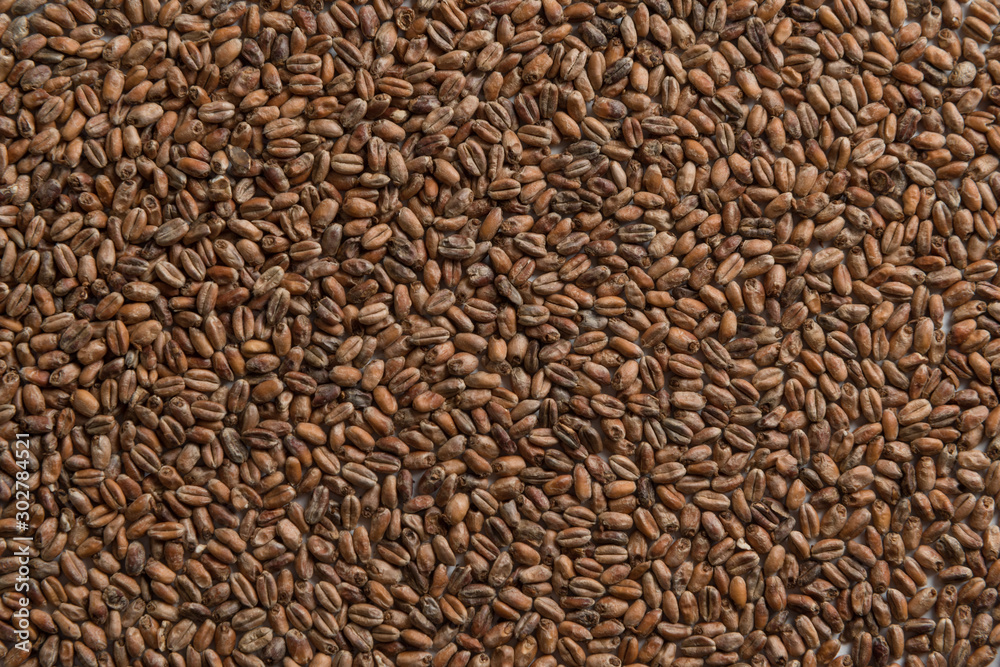 Background from whole grains wheat. Groats texture. Сereals for the production of alcoholic beverages and animal feed. Flat lay Background from whole grains wheat. Groats texture. Сereals for the production of alcoholic beverages and animal feed. Flat lay