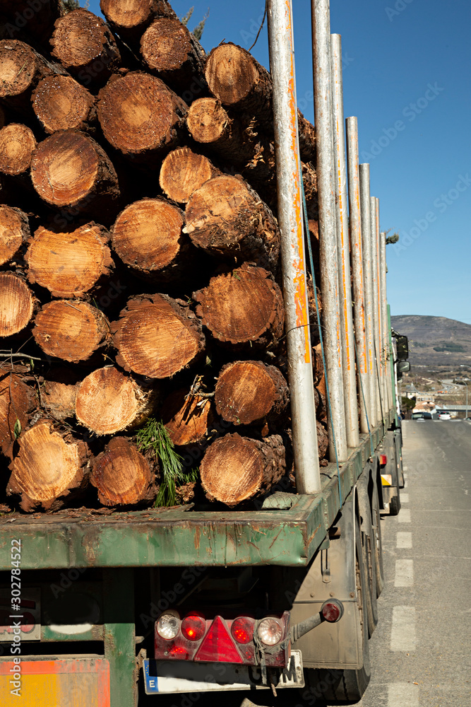 Camión cargado con troncos de madera. foto de Stock | Adobe Stock