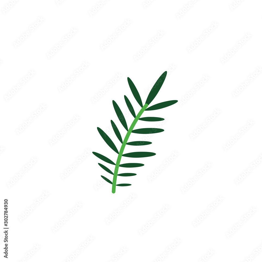 Fototapeta premium acacia branch foliage nature leaf icon flat