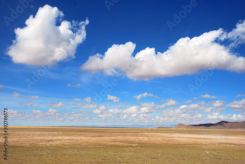 field and blue sky in Bolivia