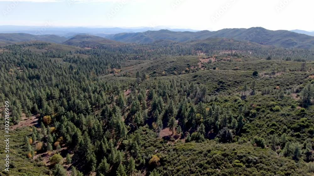Aerial view of pine in Pine Valley during dry fall season, San Diego Country, California, USA Aerial view of pine in Pine Valley during dry fall season, San Diego Country, California, USA