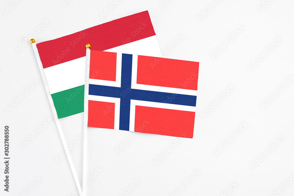 Bouvet Islands and Hungary stick flags on white background. High quality fabric, miniature national flag. Peaceful global concept.White floor for copy space.