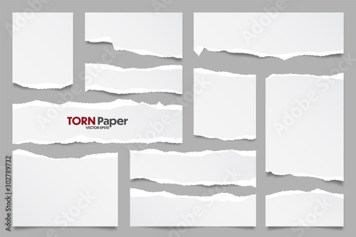 White ripped paper strips collection. Realistic paper scraps with torn edges. Sticky notes, shreds of notebook pages. Vector illustration.