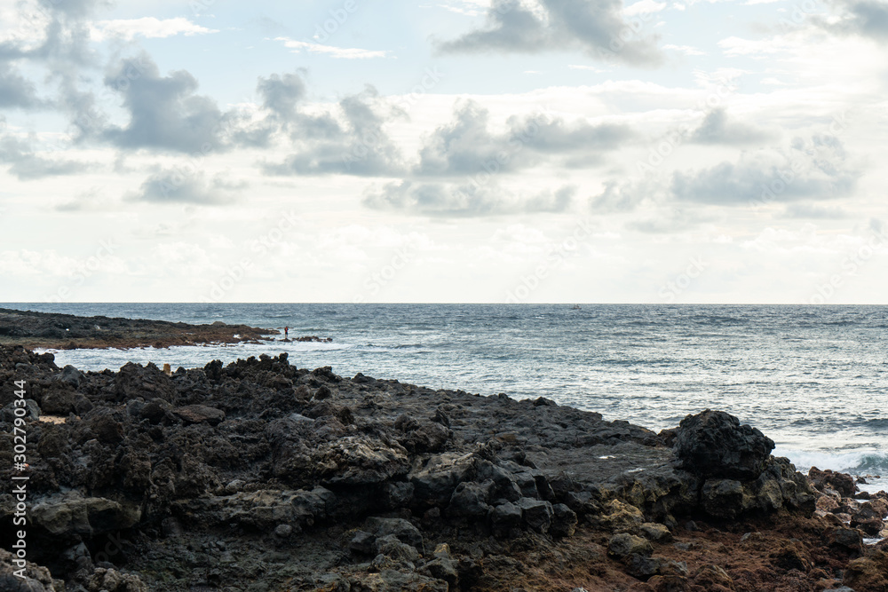 Εκτύπωση καμβά Campo di lava che arriva al mare sulla costa di Tenerife alle isole canarie