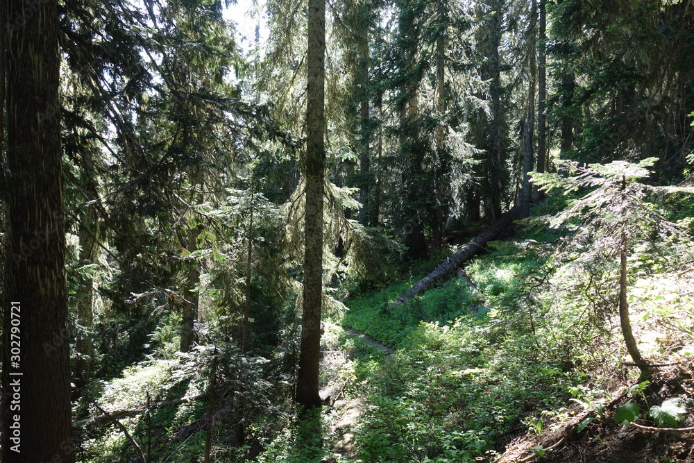 Fototapeta premium Landscapes of Washington State