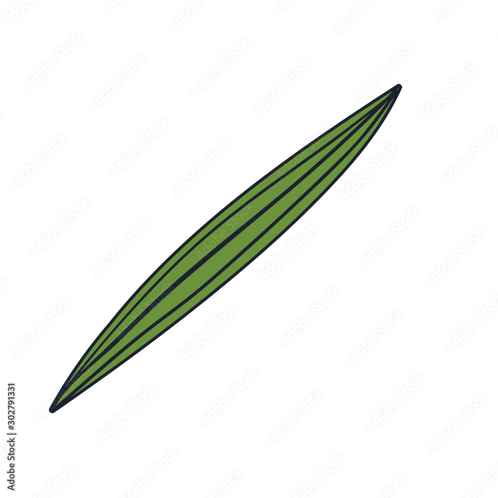Obraz premium Isolated autumn leaf vector design