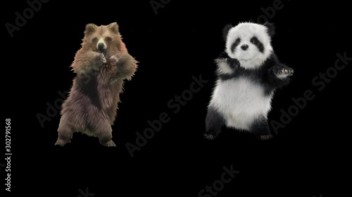 Bear Dance CG fur 3d rendering animal realistic CGI VFX Animation Loop  composition 3d mapping cartoon, with Alpha Channel