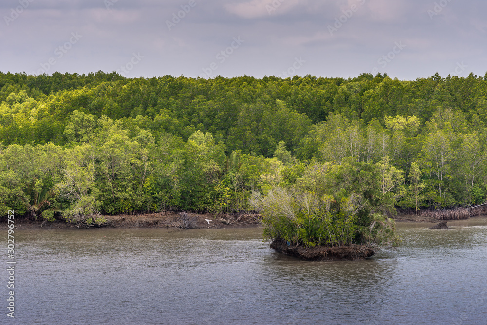 Long Tau River, Vietnam - March 12, 2019: At Thieng Lieng up from mouth of river: every piece of dirt covered by dense green jungle bordering the brown water under blue cloudscape. Long Tau River, Vietnam - March 12, 2019: At Thieng Lieng up from mouth of river: every piece of dirt covered by dense green jungle bordering the brown water under blue cloudscape.