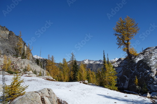 Landscapes of the Pacific Northwest