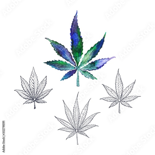 Hand drawn Cannabis leaves isolated on white background. Medical marijuana or weed vector watercolor and sketch style illustration