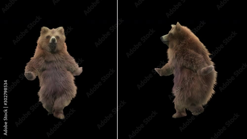 Bear Dance CG fur 3d rendering animal realistic CGI VFX Animation Loop ...