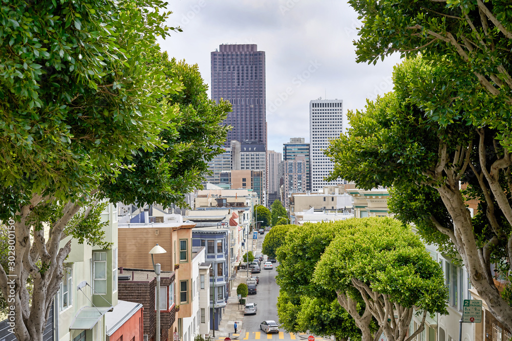 San Francisco, CA, USA - May 15, 2018: view of the beautiful urban landscape through the crowns of trees. Skyscraper towers