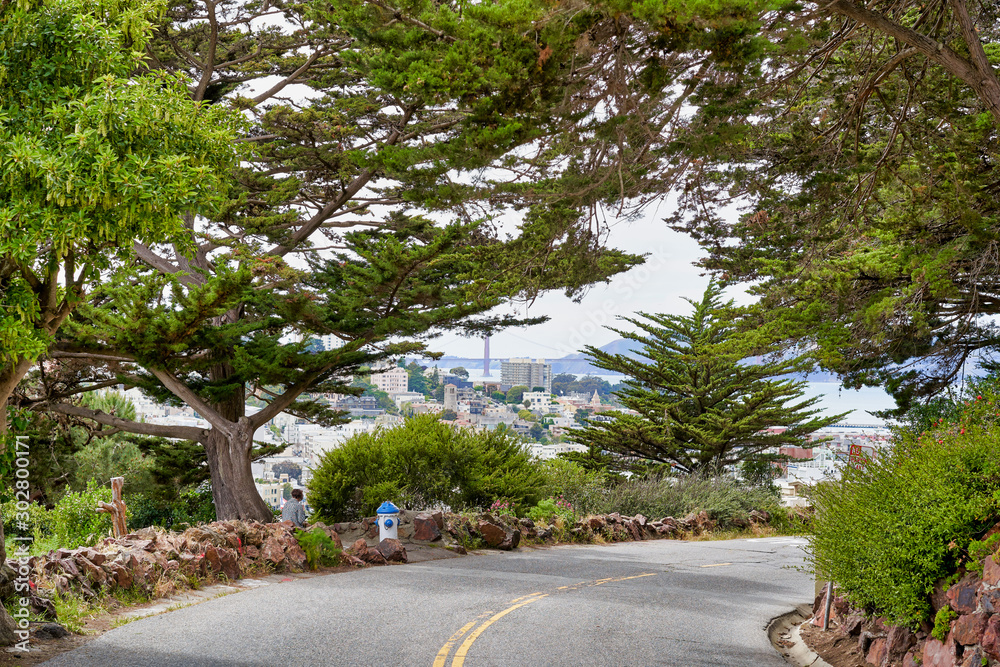 San Francisco, CA, USA - May 15, 2018: view of the beautiful urban landscape and the bay, among the crowns of trees along the road
