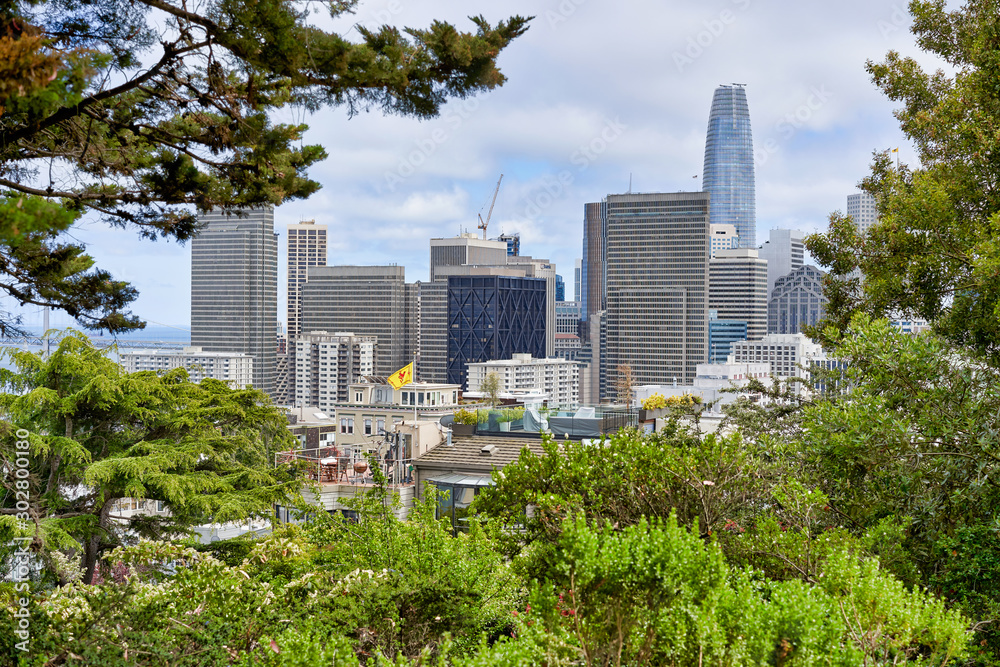 San Francisco, CA, USA - May 15, 2018: view of the beautiful urban landscape through the crowns of trees. Skyscraper towers