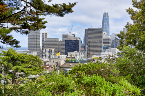 Obraz na płótnie San Francisco, CA, USA - May 15, 2018: view of the beautiful urban landscape through the crowns of trees. Skyscraper towers w salonie