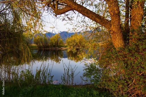 Nature’s Looking Glass