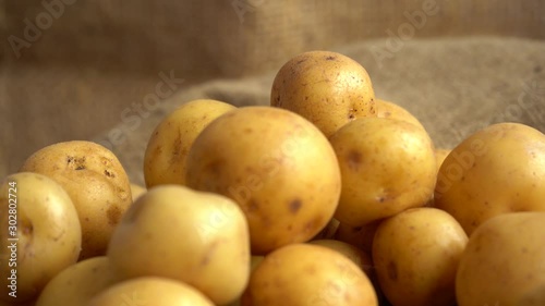 Shallow depth of field of pile of yellow potatoes rotating on a jute mat and a jute background out of focus